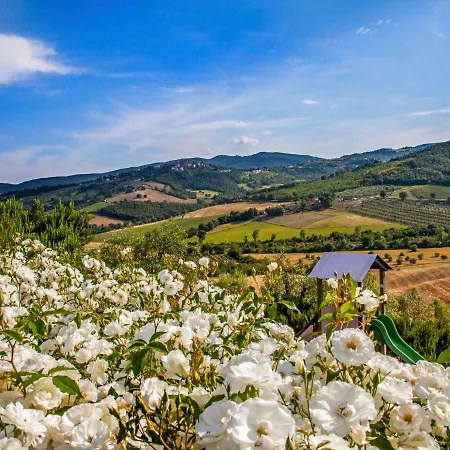 Allerona-1 By Interhome Allerona